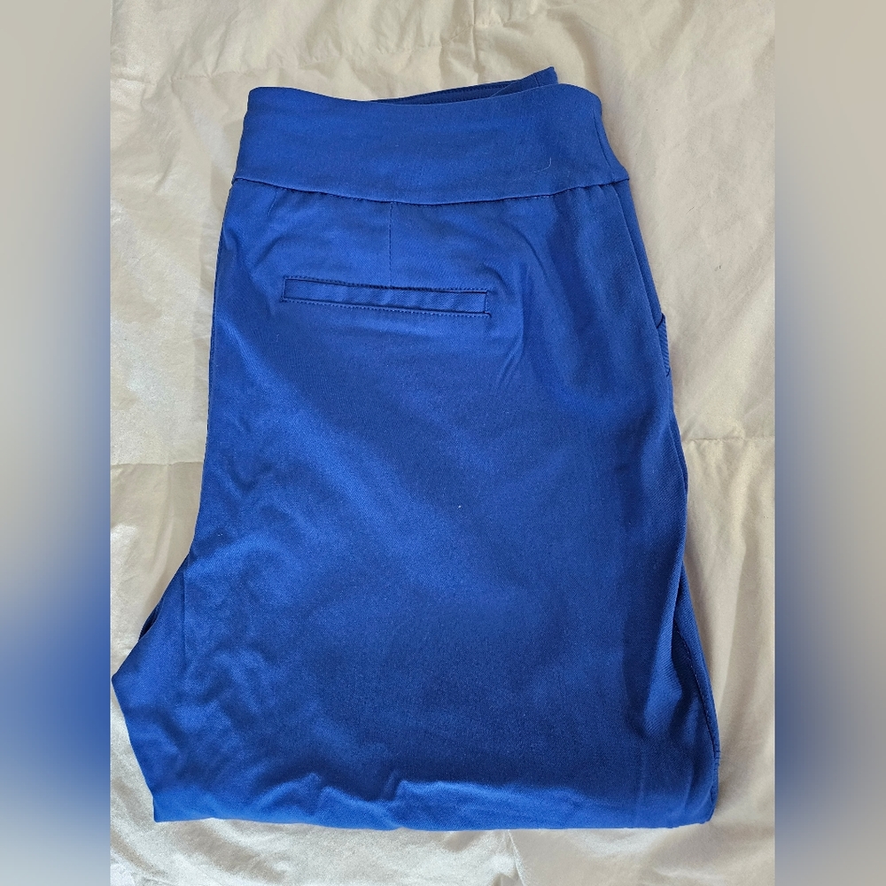 Briggs Capri Pants Blue